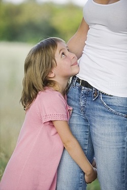 Sarasota child support lawyer